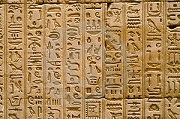 Egyption Hieroglyphics